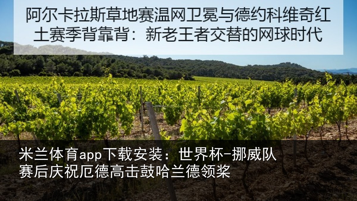 米兰体育app下载安装：世界杯-挪威队赛后庆祝厄德高击鼓哈兰德领桨